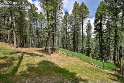 29 Dusti Circle, Florissant, CO 80816 - Photo 43