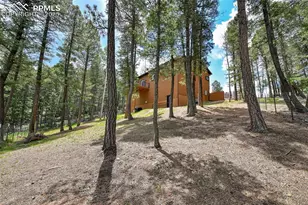 29 Dusti Cir, Florissant, CO 80816 - Photo 5