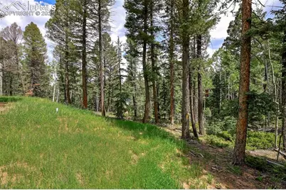 29 Dusti Circle, Florissant, CO 80816 - Photo 41
