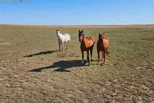 2690 E Ellicott Rd, Calhan, CO 80808 - Photo 47