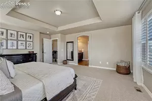 9167 Selkirk Pl, Colorado Springs, CO 80924 - Photo 21