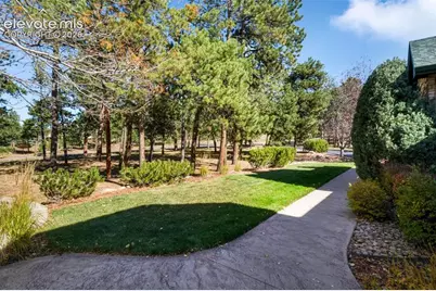 17556 Colonial Park Drive, Monument, CO 80132 - Photo 5