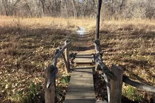 3271 Apogee View, Colorado Springs, CO 80906 - Photo 35