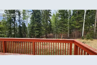 419 Donzi Trail, Florissant, CO 80816 - Photo 21