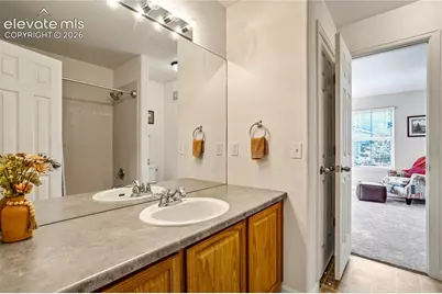 3931 Diamond Ridge View, Colorado Springs, CO 80918 - Photo 39