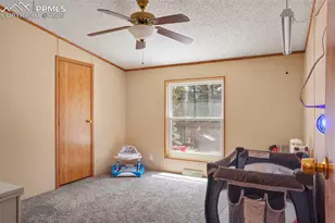 2450 Pathfinder Rd, Florissant, CO 80816 - Photo 17