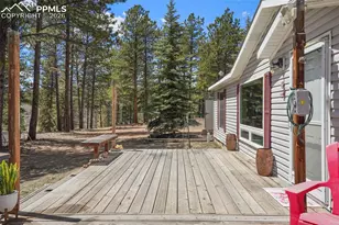 2450 Pathfinder Rd, Florissant, CO 80816 - Photo 3