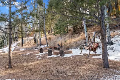 185 Pamona Lake Drive, Divide, CO 80814 - Photo 37