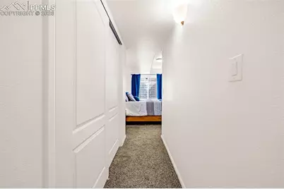 7713 Blue Vail Way, Colorado Springs, CO 80922 - Photo 35