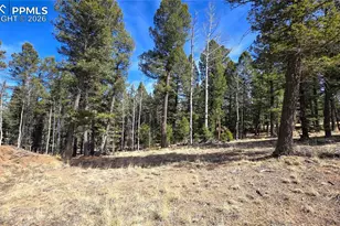 19 Serenity Cir, Florissant, CO 80816 - Photo 1