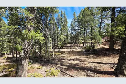 19 Serenity Circle, Florissant, CO 80816 - Photo 9