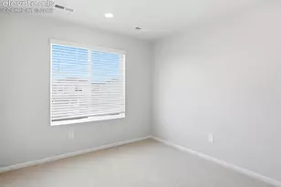 11409 Pikeminnow Pl, Colorado Springs, CO 80925 - Photo 27