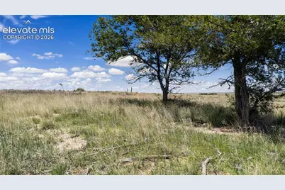 39320 Truckton Road, Rush, CO 80833 - Photo 17