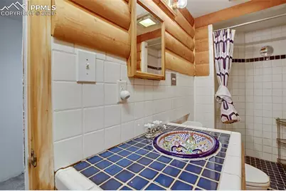 377 Ridge Road, Divide, CO 80814 - Photo 35