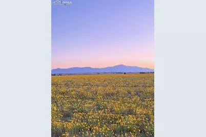 3680 Slocum Road, Peyton, CO 80831 - Photo 21