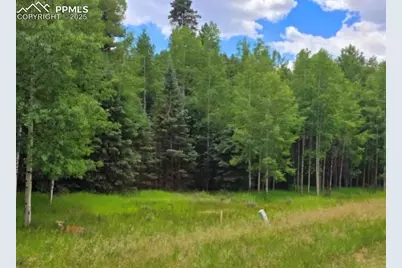 662 Spring Valley Lane, Florissant, CO 80816 - Photo 1