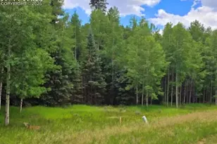 662 Spring Valley Ln, Florissant, CO 80816 - Photo 1