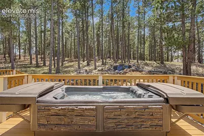 1245 Old Antlers Way, Monument, CO 80132 - Photo 39