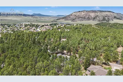 1245 Old Antlers Way, Monument, CO 80132 - Photo 47