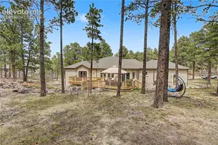 1245 Old Antlers Way, Monument, CO 80132 - Photo 43
