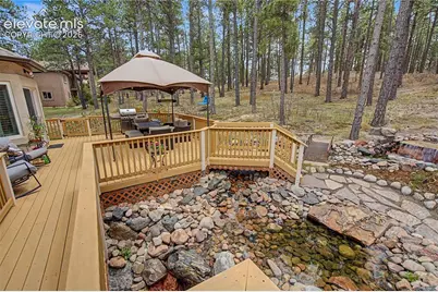 1245 Old Antlers Way, Monument, CO 80132 - Photo 37