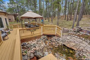 1245 Old Antlers Way, Monument, CO 80132 - Photo 37