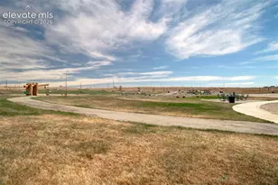 6133 Alpine Rdg Dr, Colorado Springs, CO 80925 - Photo 27