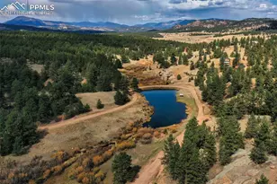 117 Reed Dr, Florissant, CO 80816 - Photo 45
