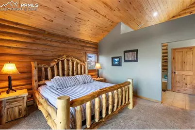 9110 Mountain Road, Cascade, CO 80809 - Photo 15