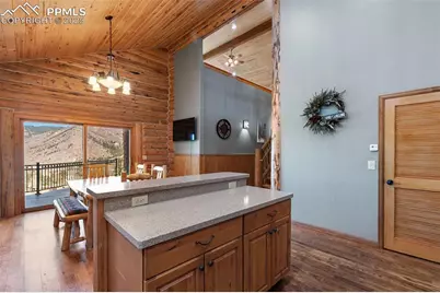 9110 Mountain Road, Cascade, CO 80809 - Photo 9
