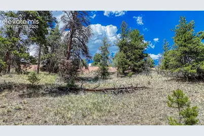 218 Princess Road, Cripple Creek, CO 80813 - Photo 5