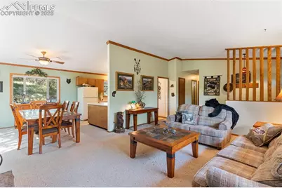 5580 Moosa Road, Cascade, CO 80809 - Photo 7