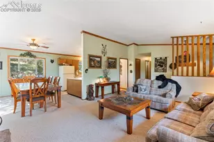 5580 Moosa Rd, Cascade, CO 80809 - Photo 7