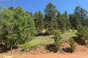 281 Pikes Peak Dr, Divide, CO 80814 - Photo 1