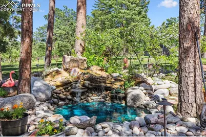 18971 Shadowood Drive, Monument, CO 80132 - Photo 35