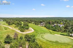 18971 Shadowood Dr, Monument, CO 80132 - Photo 49