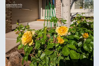 865 Piros Drive, Colorado Springs, CO 80922 - Photo 37
