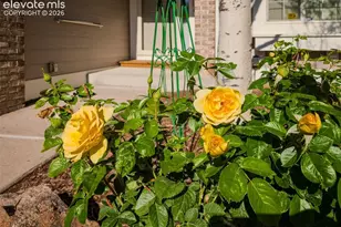865 Piros Dr, Colorado Springs, CO 80922 - Photo 37