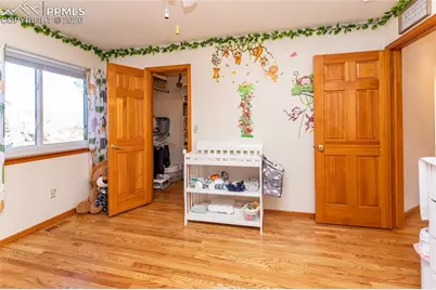 4150 Peach Lane, Colorado Springs, CO 80918 - Photo 43