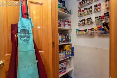 4150 Peach Lane, Colorado Springs, CO 80918 - Photo 31