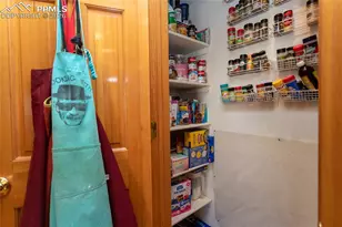 4150 Peach Ln, Colorado Springs, CO 80918 - Photo 31