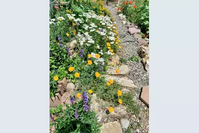 2988 Sunnywood Avenue, Woodland Park, CO 80863 - Photo 31