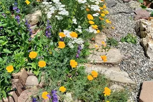 2988 Sunnywood Ave, Woodland Park, CO 80863 - Photo 31