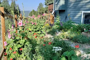 2988 Sunnywood Ave, Woodland Park, CO 80863 - Photo 33