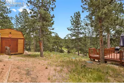 9 Kingston Circle, Florissant, CO 80816 - Photo 33