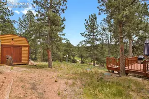 9 Kingston Cir, Florissant, CO 80816 - Photo 33