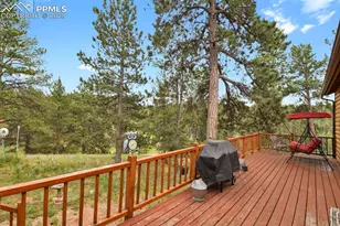 9 Kingston Cir, Florissant, CO 80816 - Photo 29