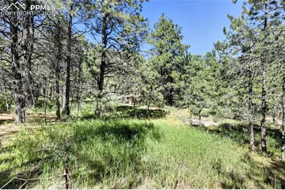 18400 Black Squirrel Road, Colorado Springs, CO 80908 - Photo 11