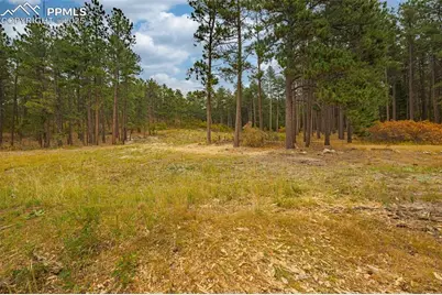 14420 S Perry Park Road, Larkspur, CO 80118 - Photo 5