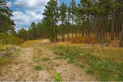14420 S Perry Park Road, Larkspur, CO 80118 - Photo 1